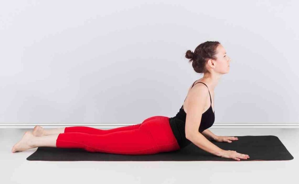 bhujangasana or cobra pose in yoga
