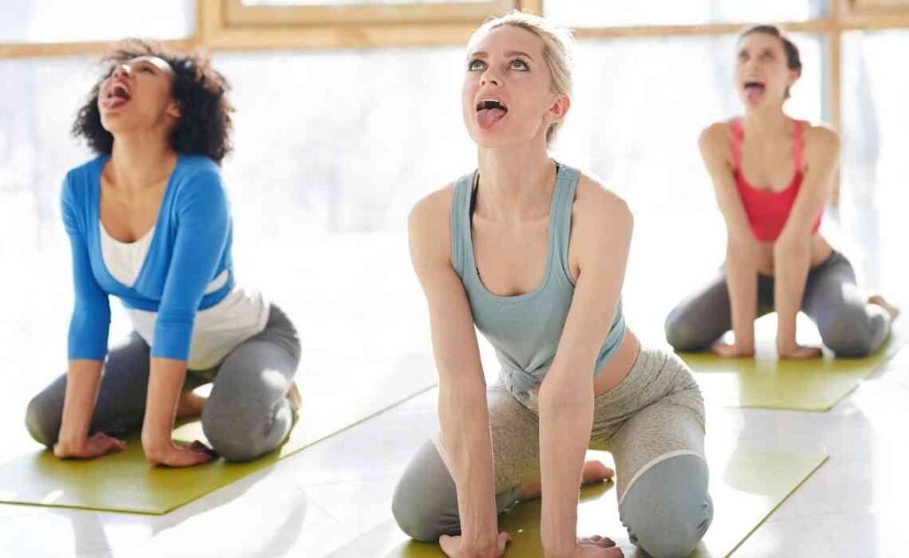 simhasana or lion pose in yoga simhasana or lion pose in yoga