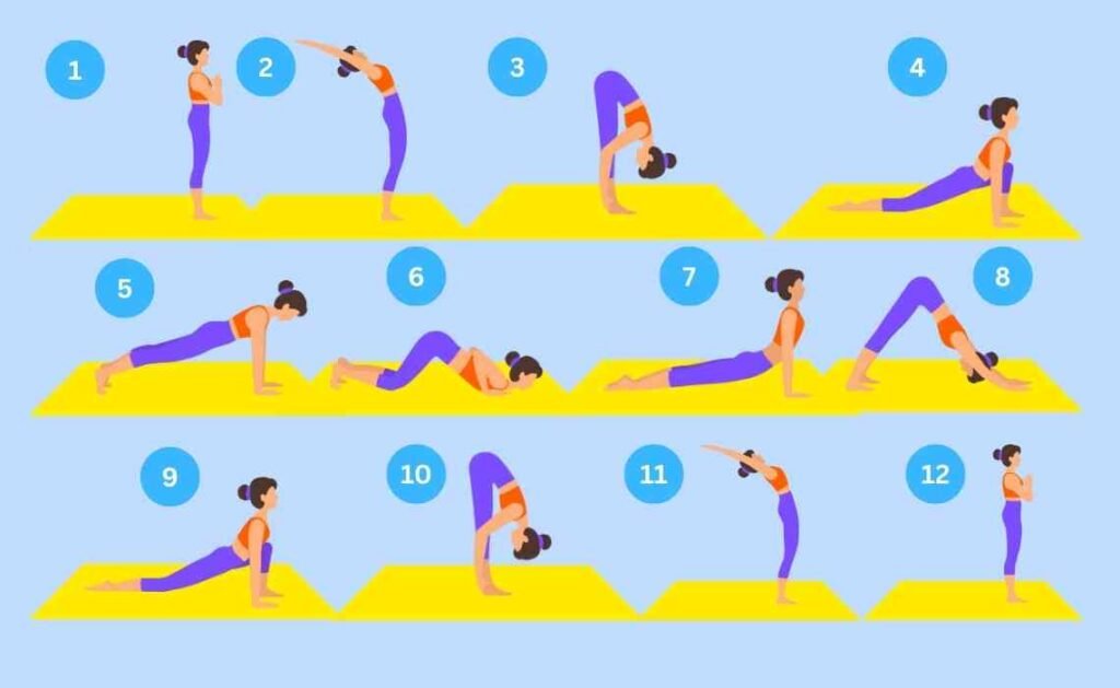 surya namaskar poses in yoga