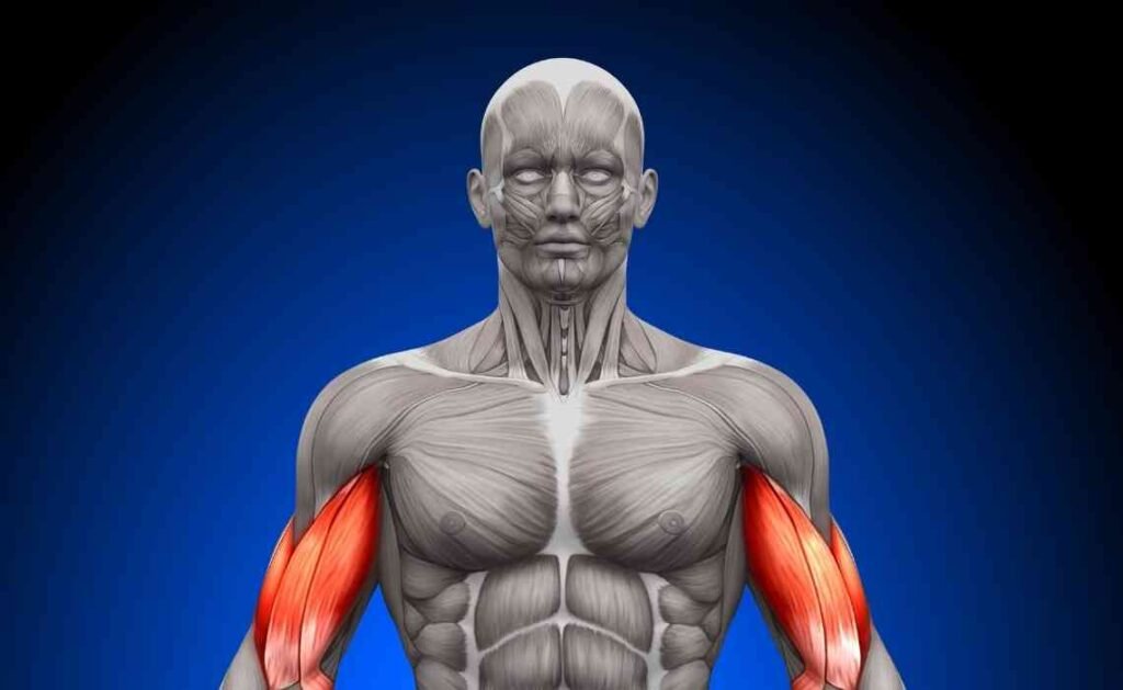 yoga for pain management and recovery